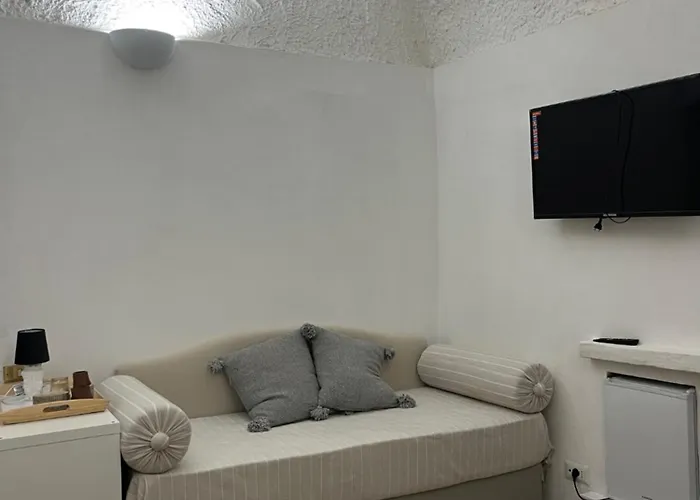 Manni プロチーダ