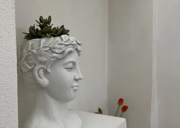 Manni プロチーダ